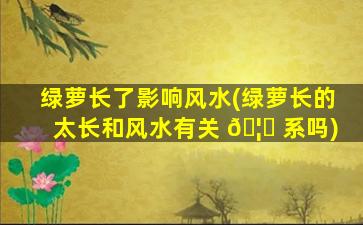 绿萝长了影响风水(绿萝长的太长和风水有关 🦁 系吗)
